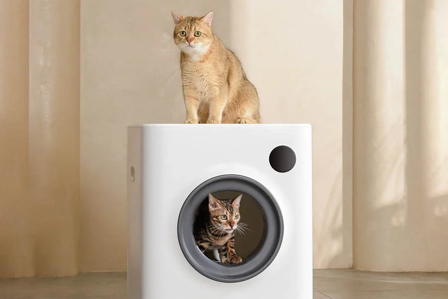 electric cat litter